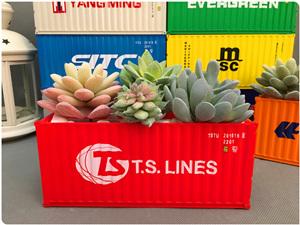 德翔航运T.S.LINES集装箱花盆|绿色植物集装箱盆栽